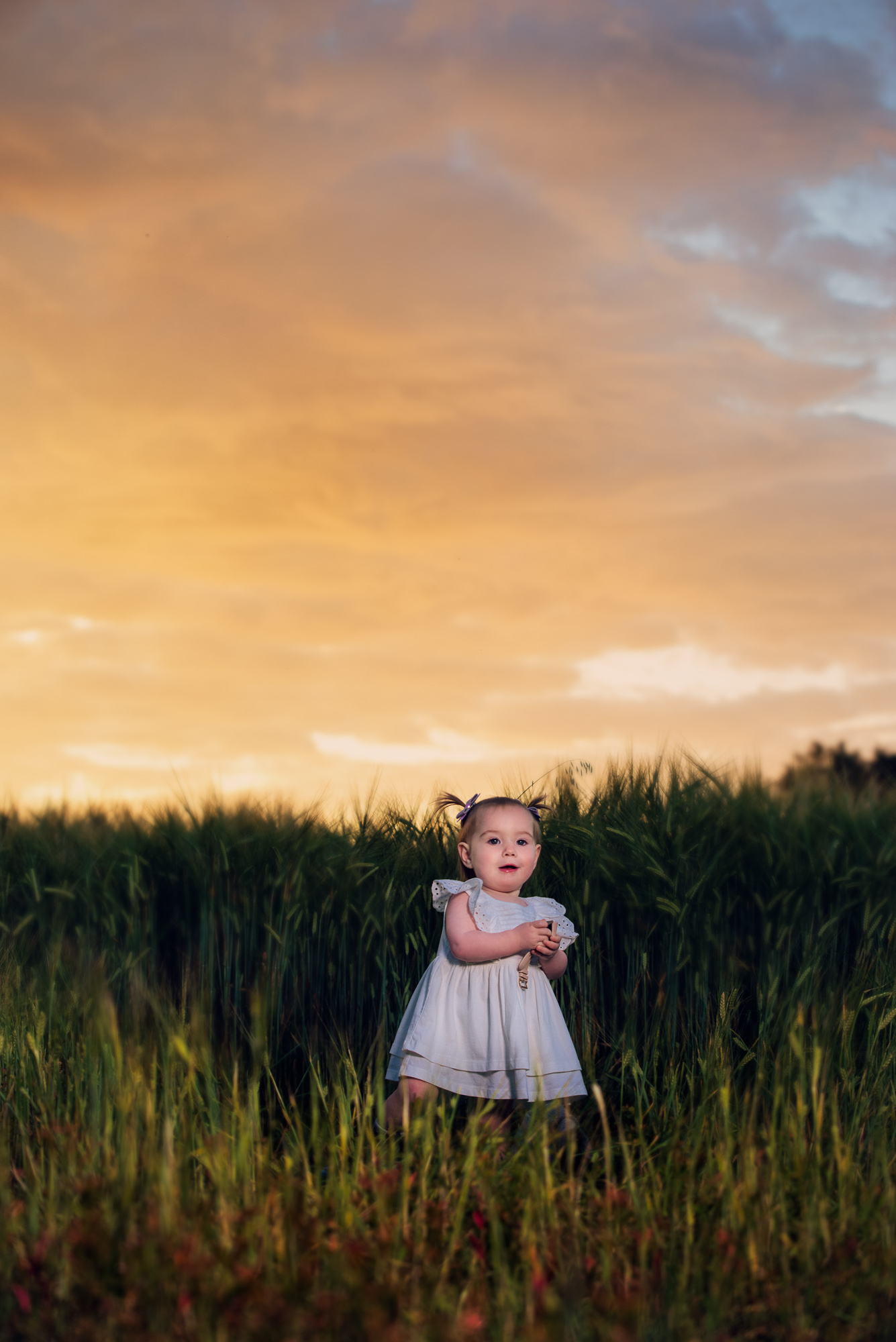 Ballymoney family photographer captures toddler in white dress playing in tall grass at golden sunset in Northern Ireland
