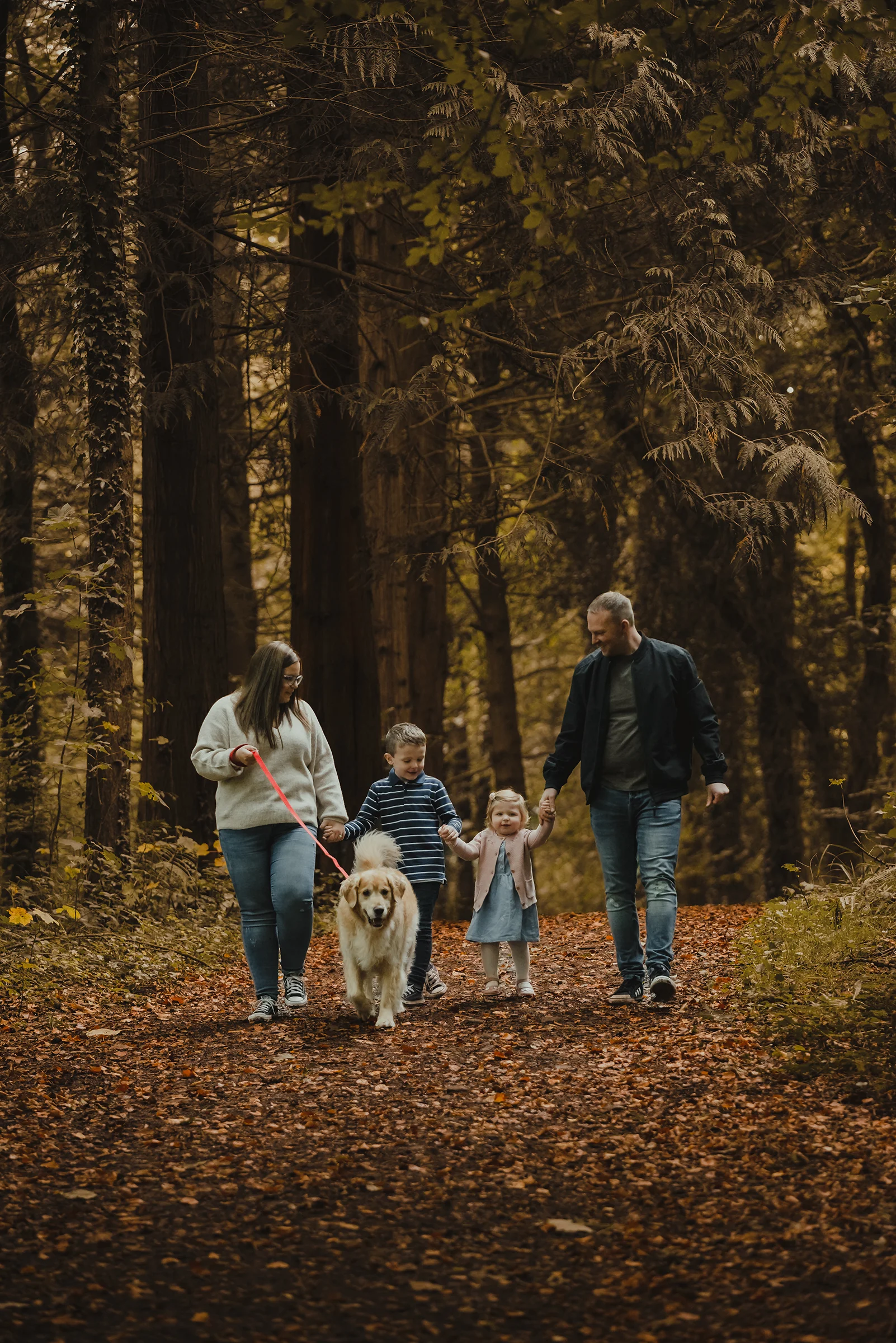 Northern Ireland family portrait: parents and two children walking dog along an autumn woodland trail for fun outdoor photos